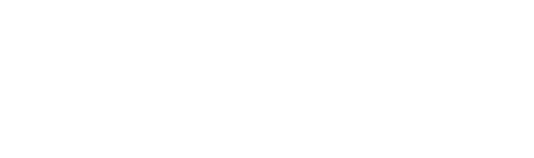 Aulakium